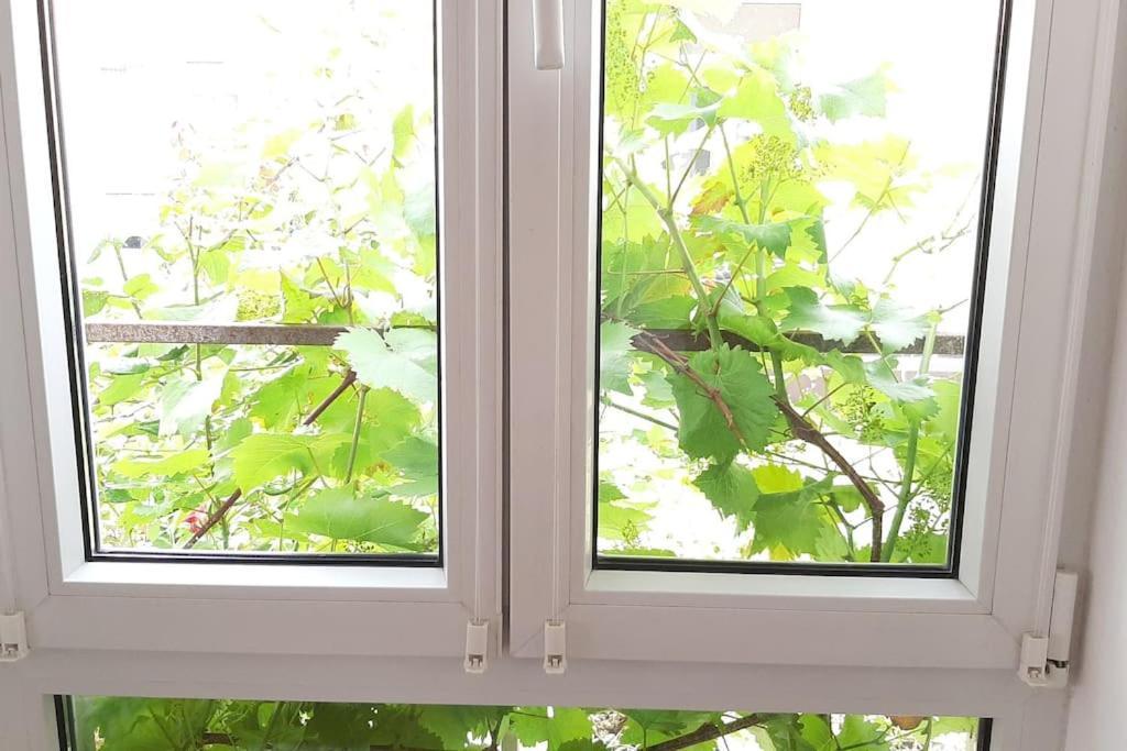 Familienfreundliche Apartments Am Park - Family Apartments Close To Park Βίρτσμπουργκ Εξωτερικό φωτογραφία